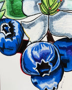 Blueberries - Art Prints