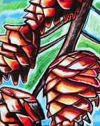 Nature's Ornament - Art Prints