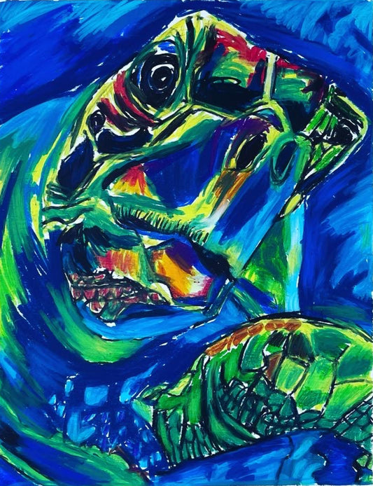 Turtle - Canvas Print