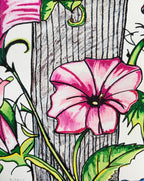 Petunia's Blush - Art Prints