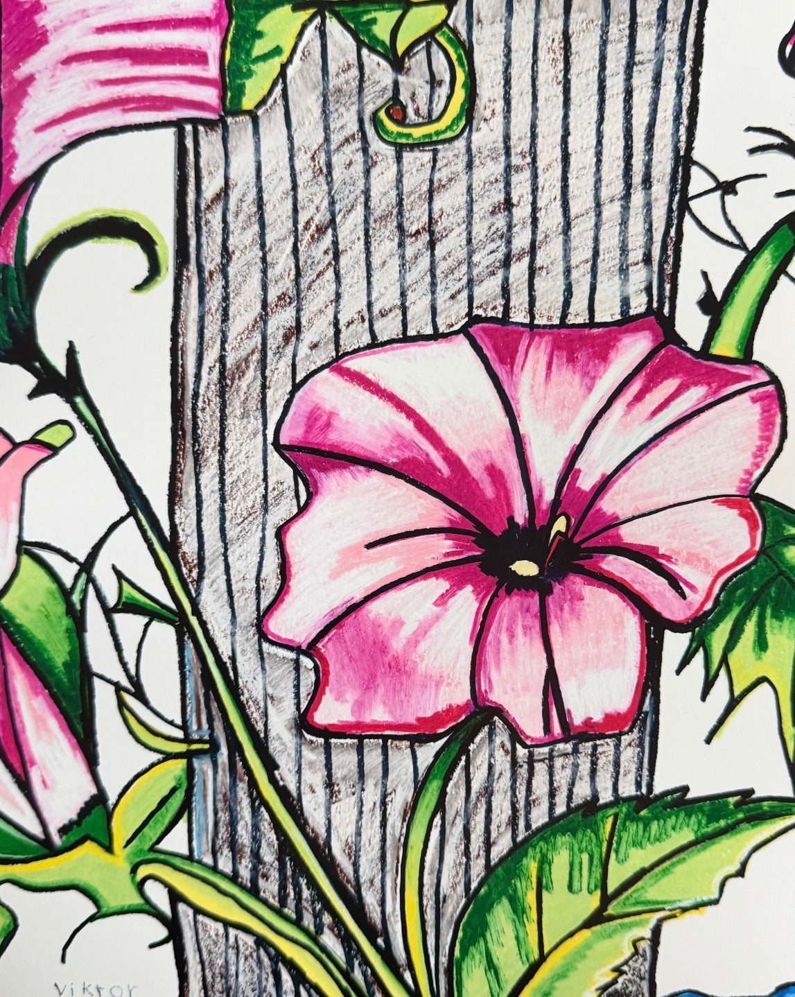 Petunia's Blush - Art Prints