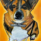 Amazing Corgi - Art Prints