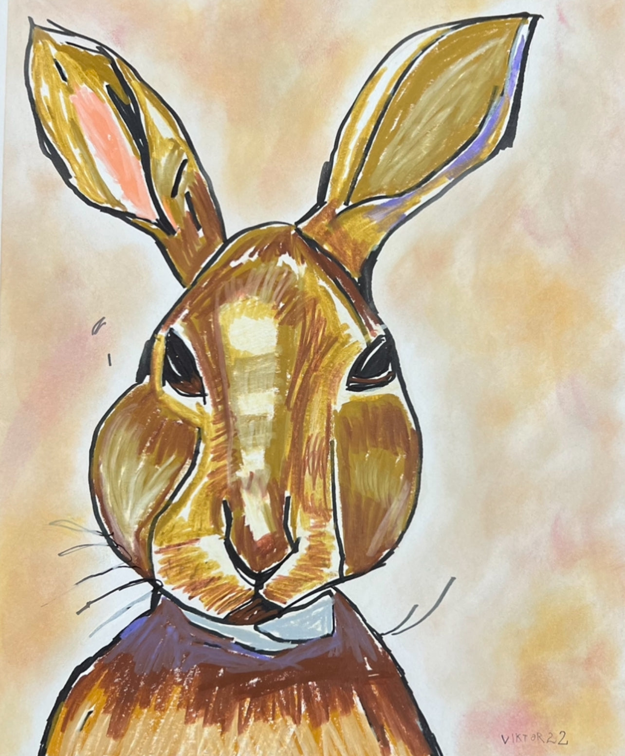The Brown Rabbit - Stretched Canvas Print in more sizes