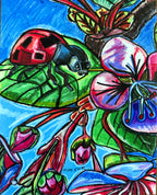 Ladybug - Art Prints