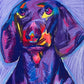 Doxie (Dachshund) - Art Prints