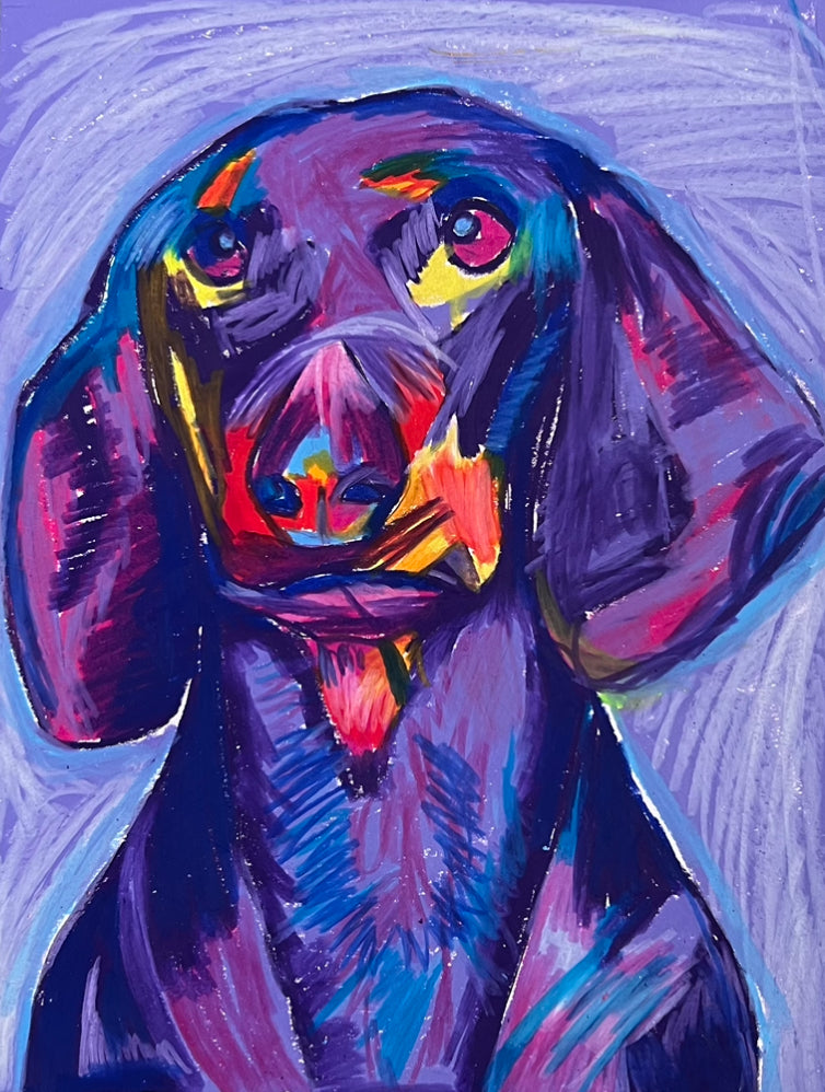 Doxie (Dachshund) - Art Prints