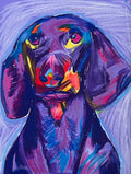 Doxie (Dachshund) - Art Prints - Vichy's Art