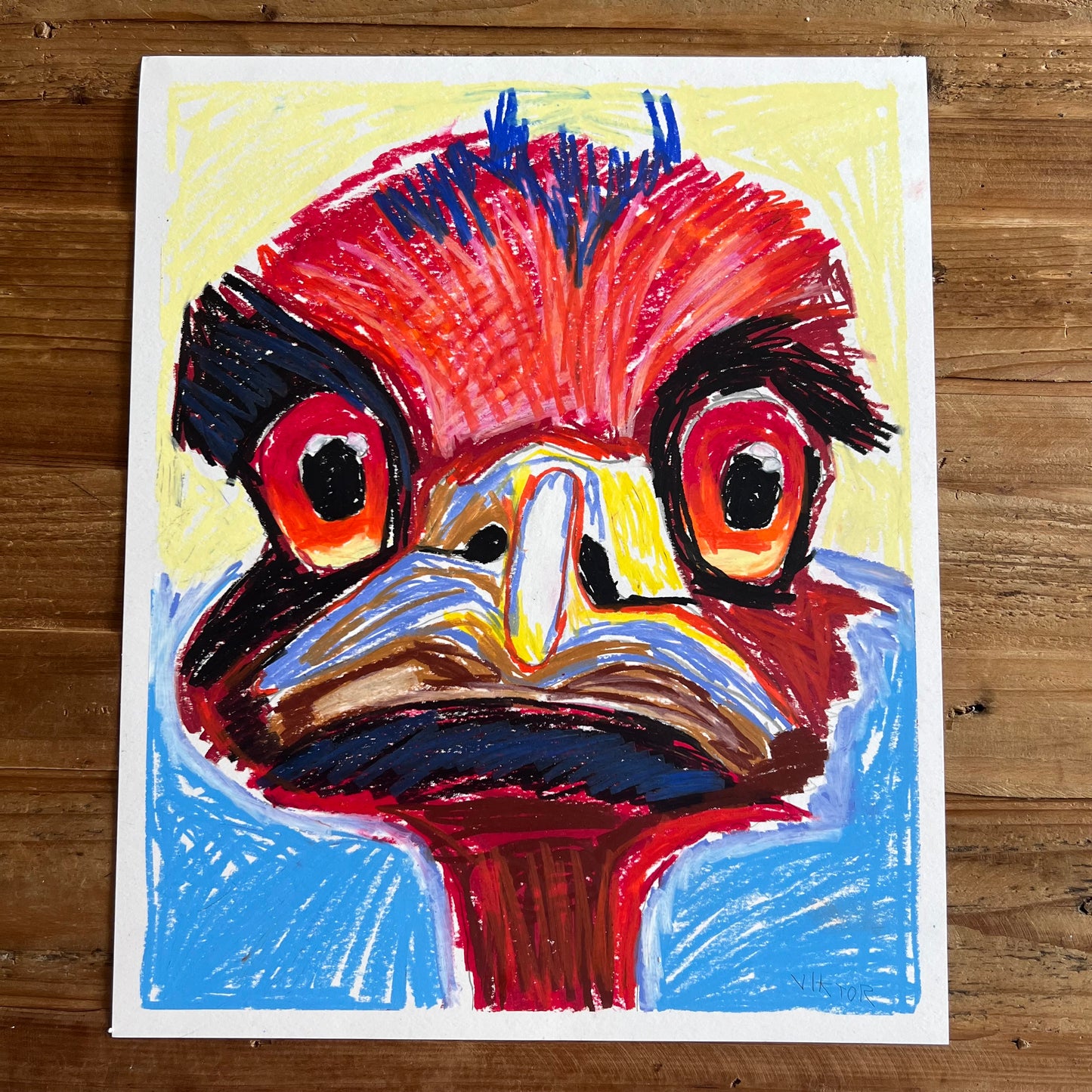 The Red Ostrich - ORIGINAL  14x17”