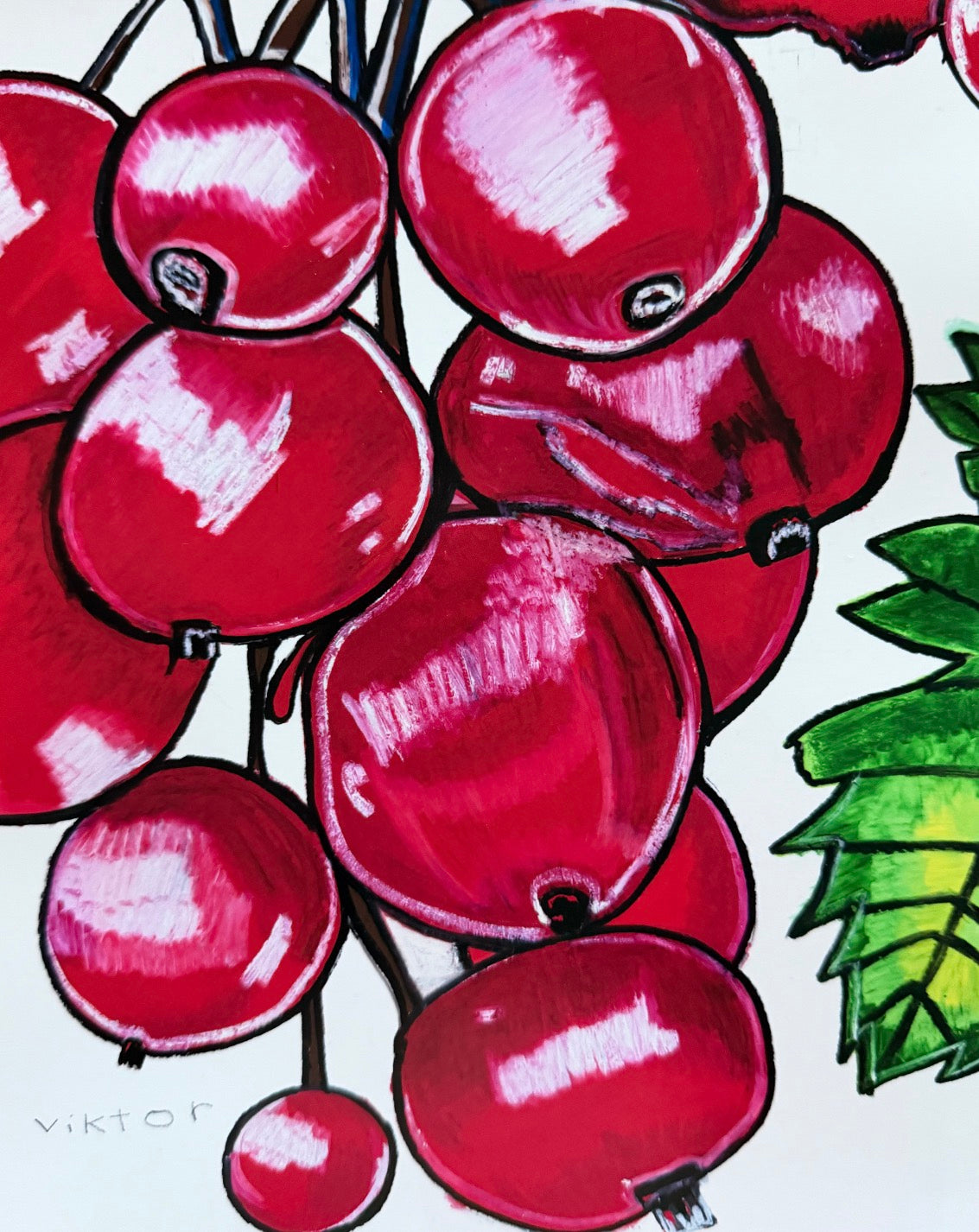 Cranberries - Art Prints