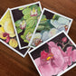 Majestic Orchids - Greeting cards set of 8 cards