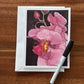 Majestic Orchids - Greeting cards set of 8 cards