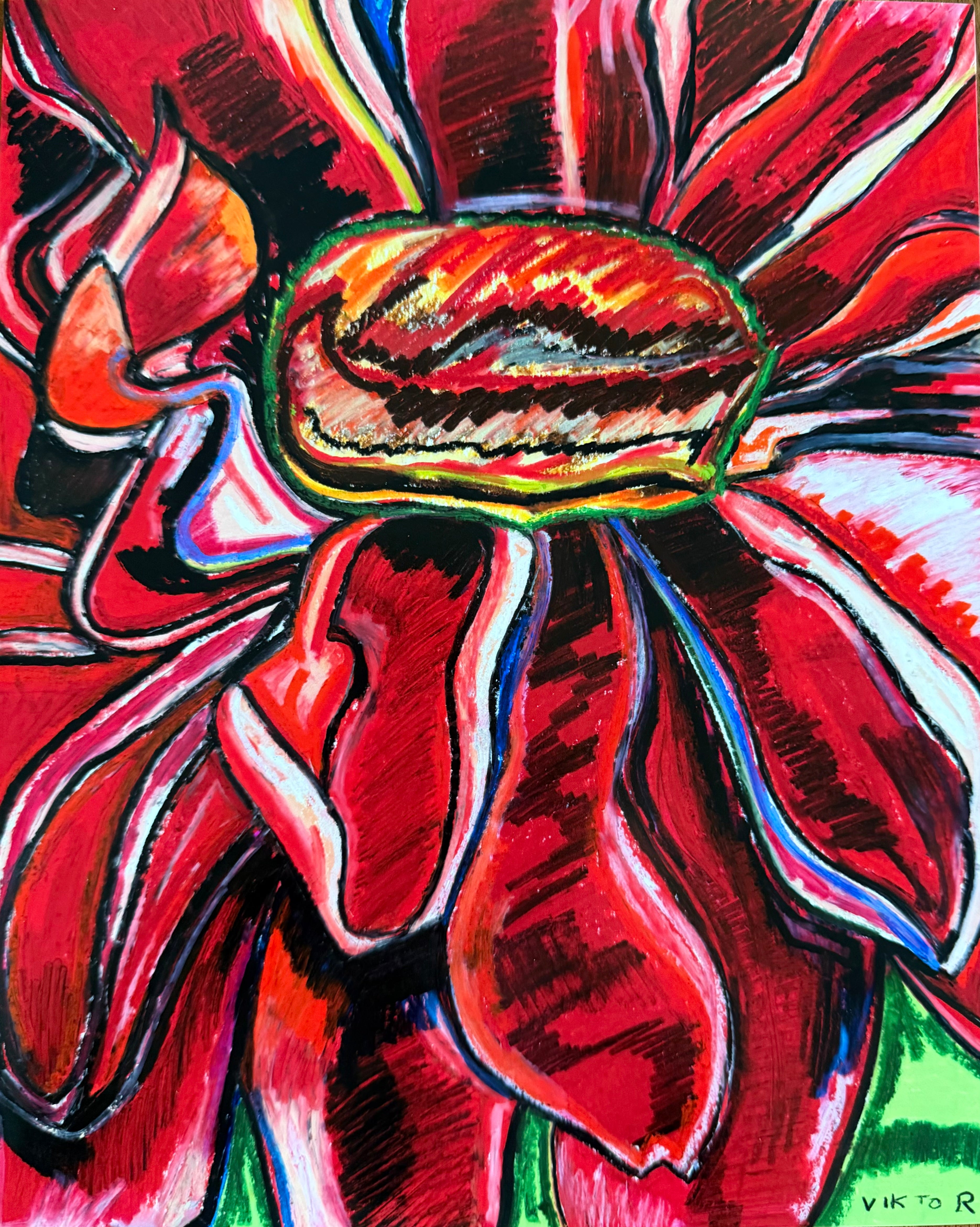 Red Zinnia - Art Prints