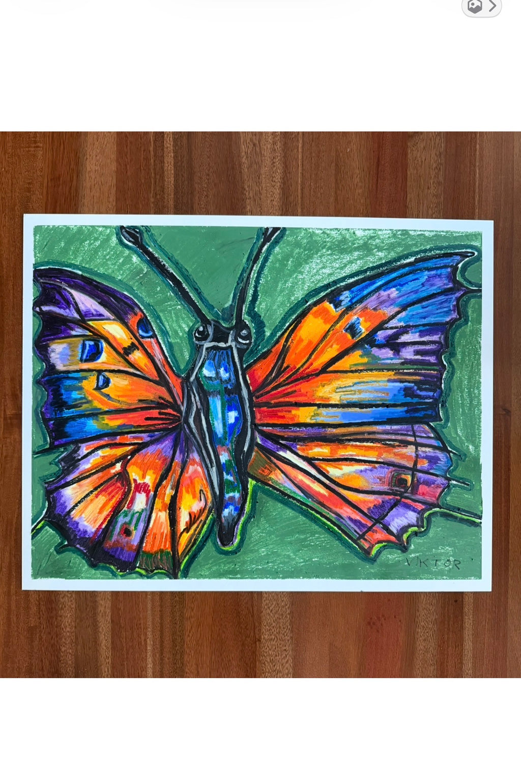 Butterfly's Blue - ORIGINAL OIL PASTEL ARTWORK - 19x24" (video attached) - Vichy's Art