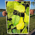 Pears - ORIGINAL Watercolor artwork 22x30”