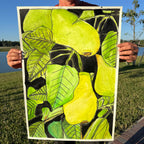 Pears - ORIGINAL Watercolor artwork 22x30”