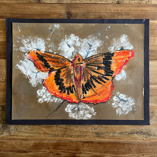 Orange Butterfly - ORIGINAL 11x15”