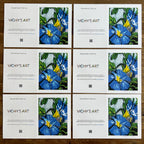 Bestseller Flowers - Greeting cards
