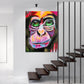 Monkey Collection: Monkey 2 - Art Prints