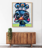 Baby Peacock - Art Prints