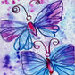 Two Purple Butterflies - Art Prints