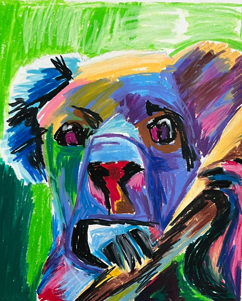 Koala - Art Prints