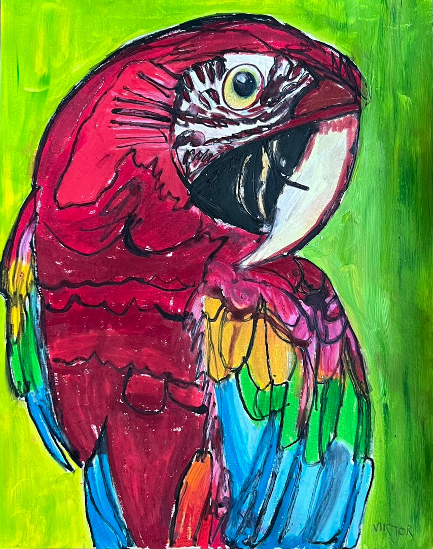 The Parrot Collection: Parrot 2 - Art Prints