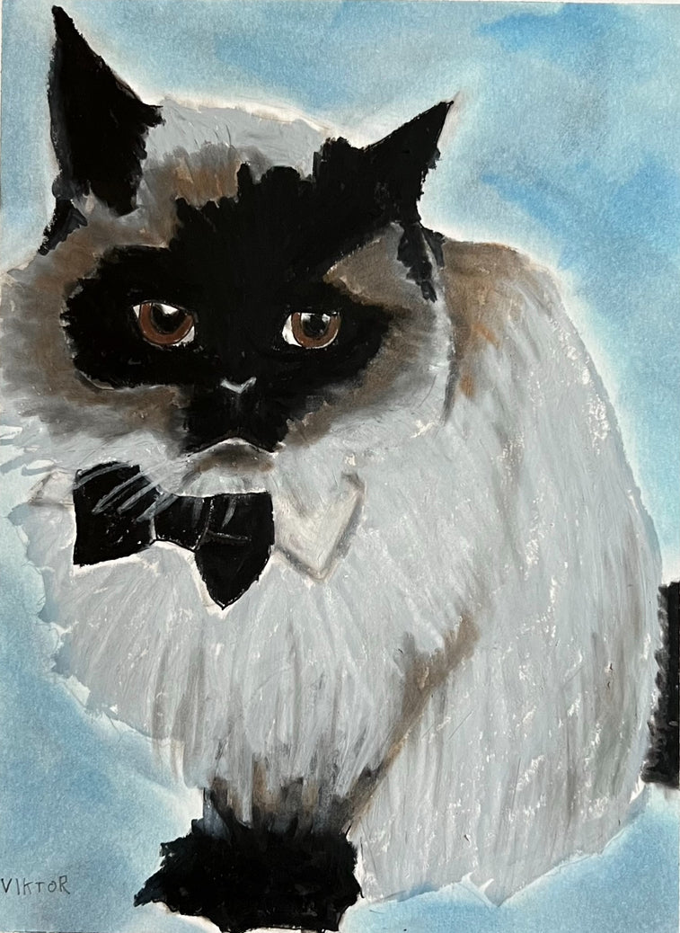 Persian Cat - Art Prints