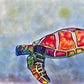 Colorful Sea Turtle - Art Prints