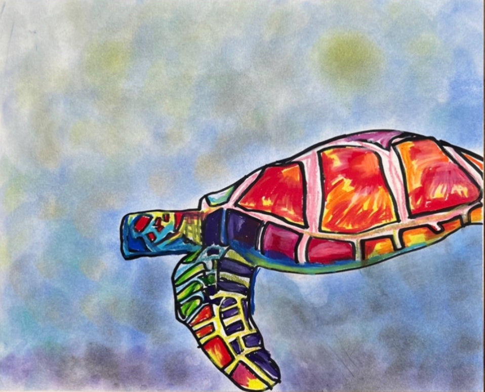 Colorful Sea Turtle - Art Prints