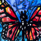 Monarch Butterfly - Art Prints