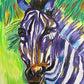 Purple Zebra - Art Prints - Vichy's Art