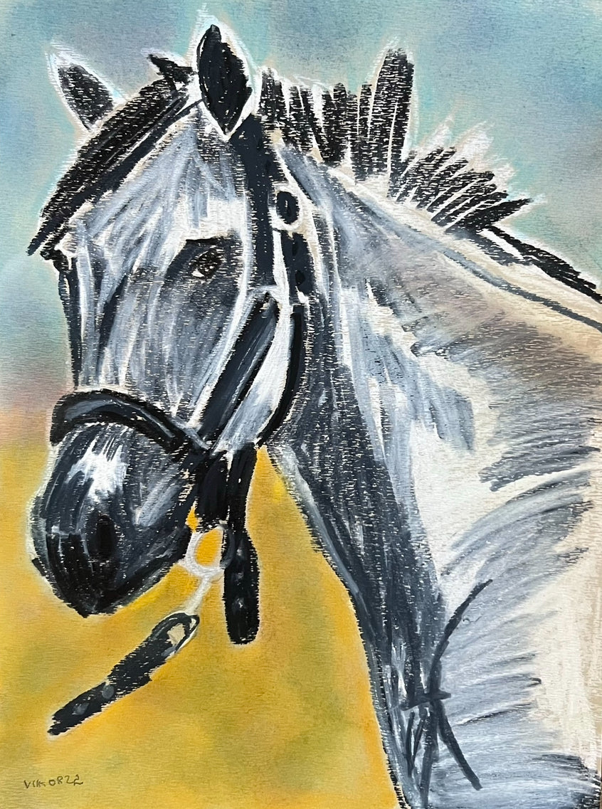 White  Horse - Art Prints