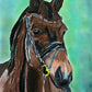 Awarded  Horse  - Art Prints