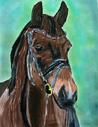 Awarded  Horse  - Art Prints
