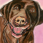 Brown Labrador - Art Prints