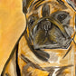 Brown French Bulldog - Art Prints