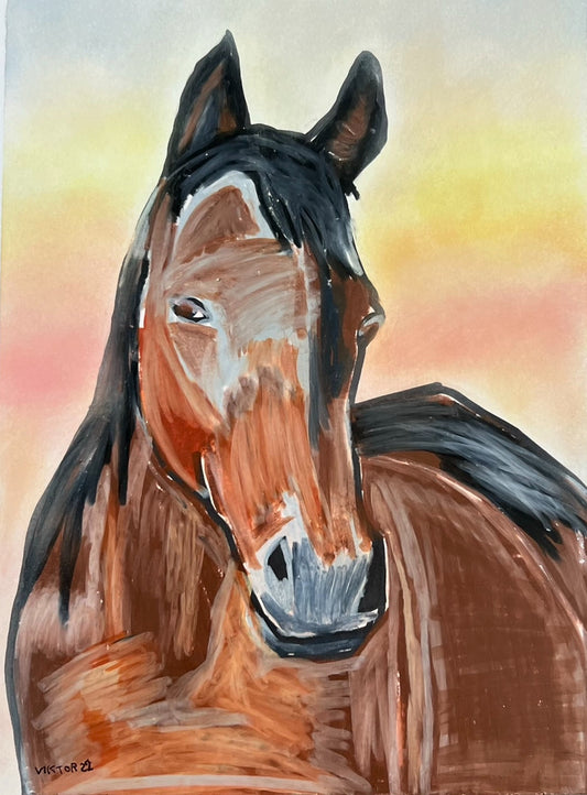 Arabian Horse - Art Prints