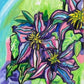 Clematis - Art Prints