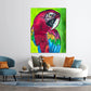 The Parrot Collection: Parrot 2 - Art Prints