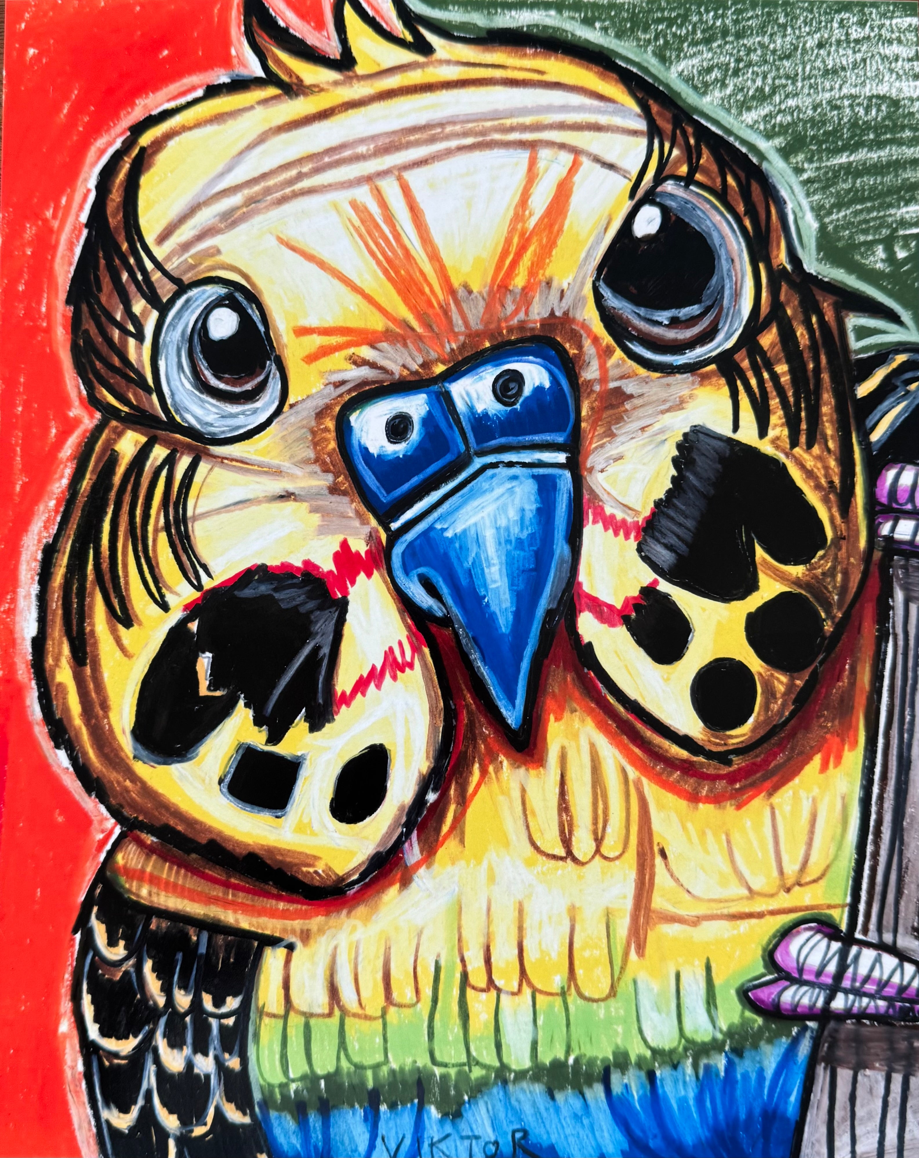 Parakeet - Art Prints