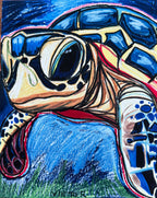 Shelly The Turtle - Art Prints