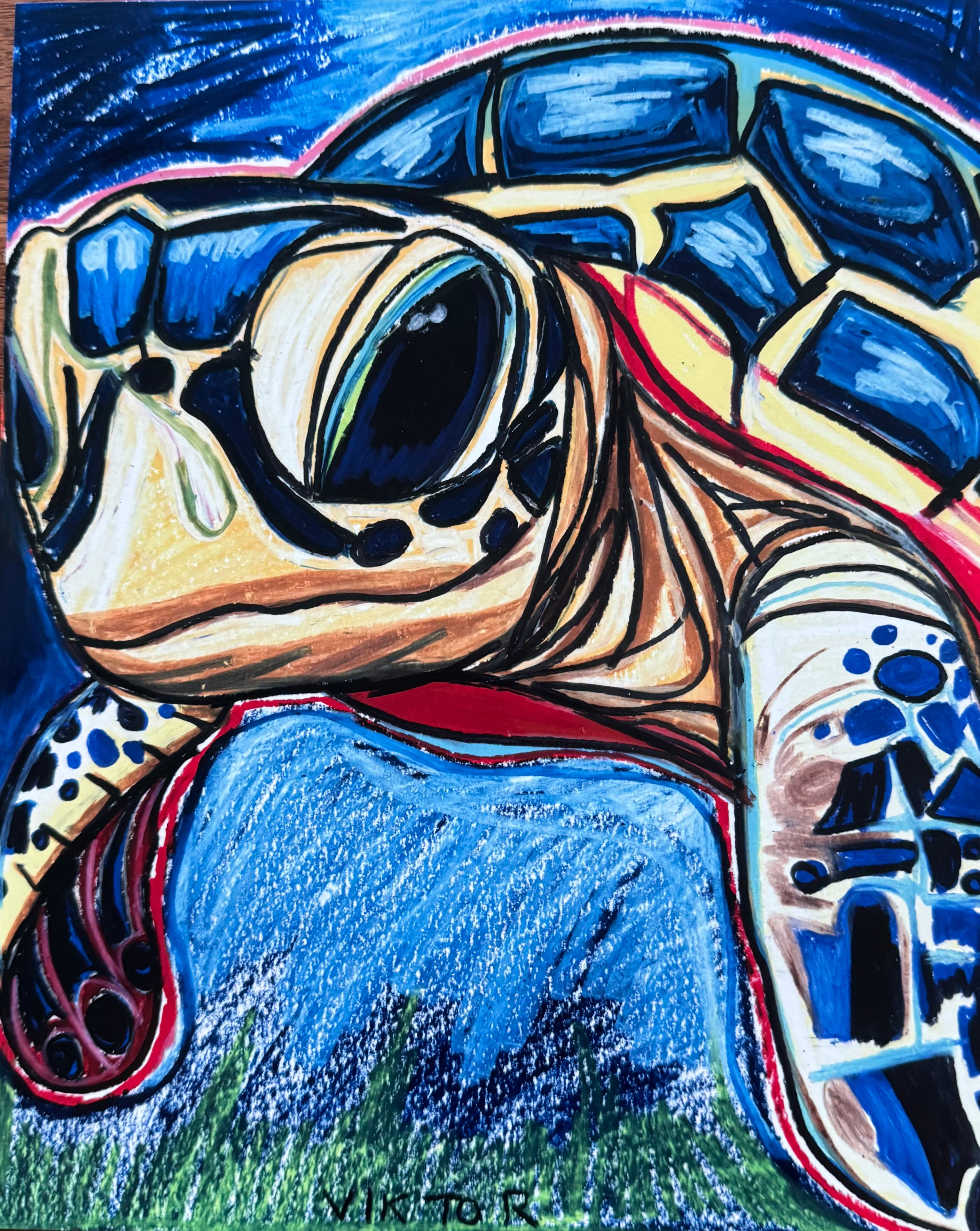 Shelly The Turtle - Art Prints