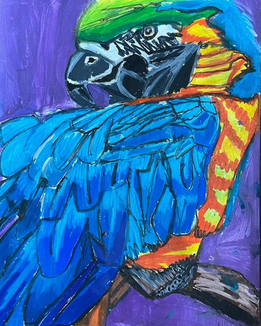 Parrots - Set of 6 paper prints/canvas prints