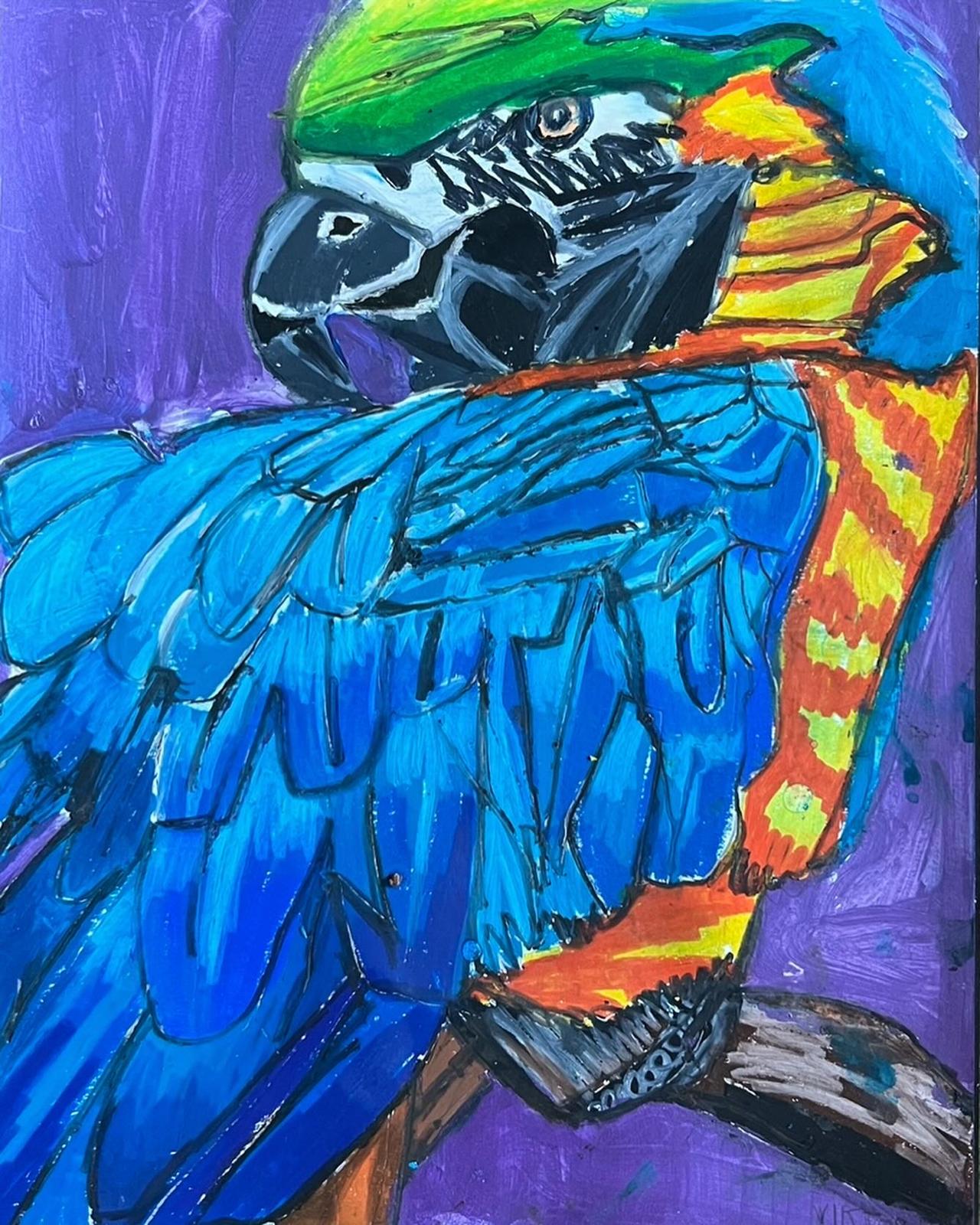 Parrots - Set of 6 paper prints/canvas prints