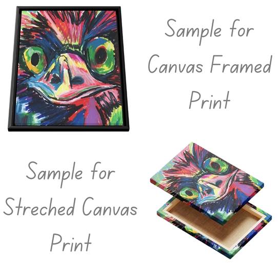 Colorful Owl - Art Prints