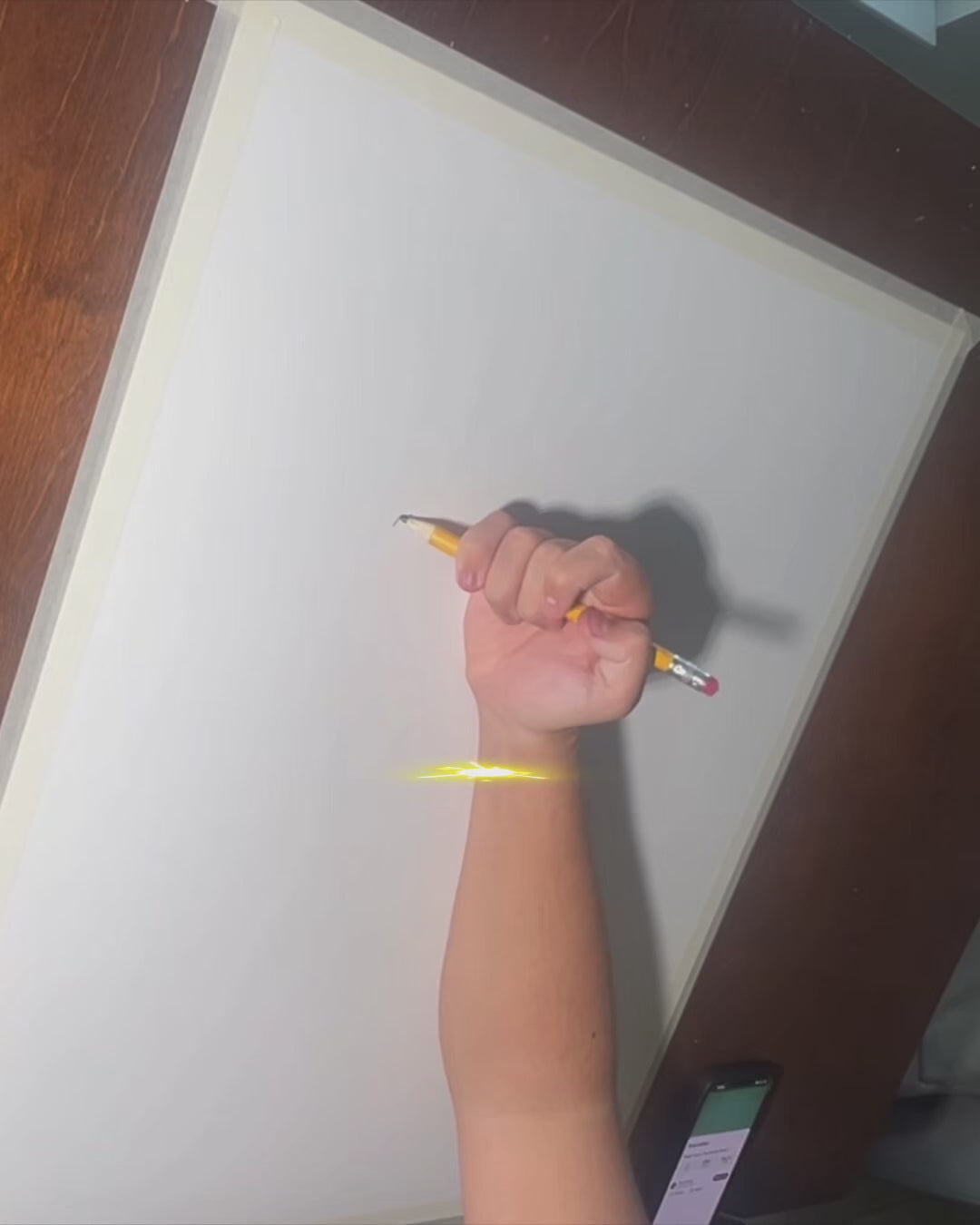 The Red Parrot - ORIGINAL OIL PASTEL ARTWORK - 19x24" (video attached)