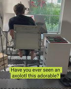 Axolotl - ORIGINAL OIL PASTEL ARTWORK - 16x20” (video attached)