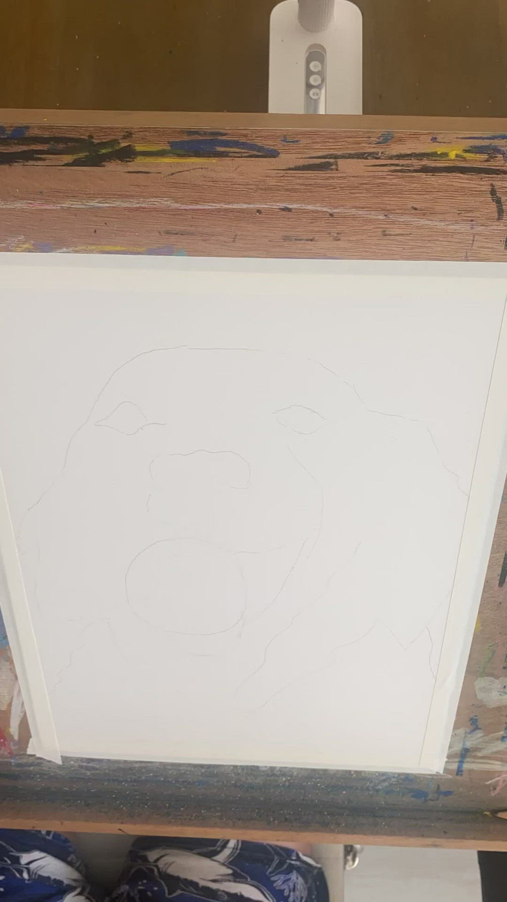 Golden Retriever with a Tennis Ball - Art Prints