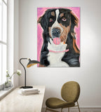 Bernese Dog - Art Prints