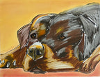 Cuddly Rottweiler - Art Prints